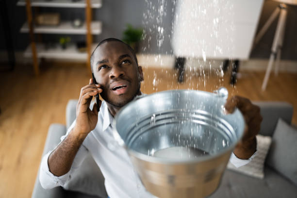 Best Flooded house restoration  in Dawsonville, GA