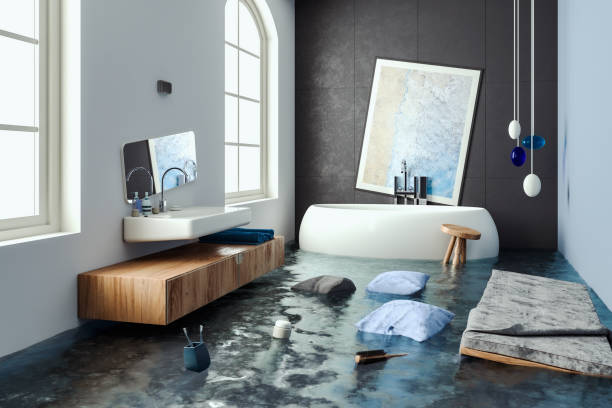Best Ceiling water damage repair  in Dawsonville, GA