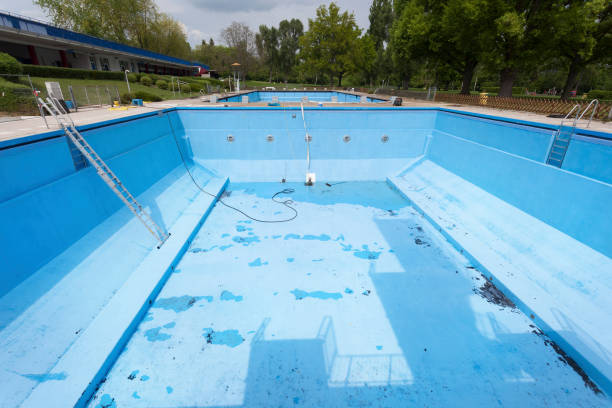 Best Mold removal after water damage  in Dawsonville, GA