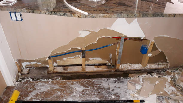 Best Water damage cleanup near me  in Dawsonville, GA