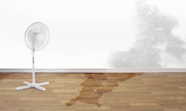Best Water damage restoration near me  in Dawsonville, GA