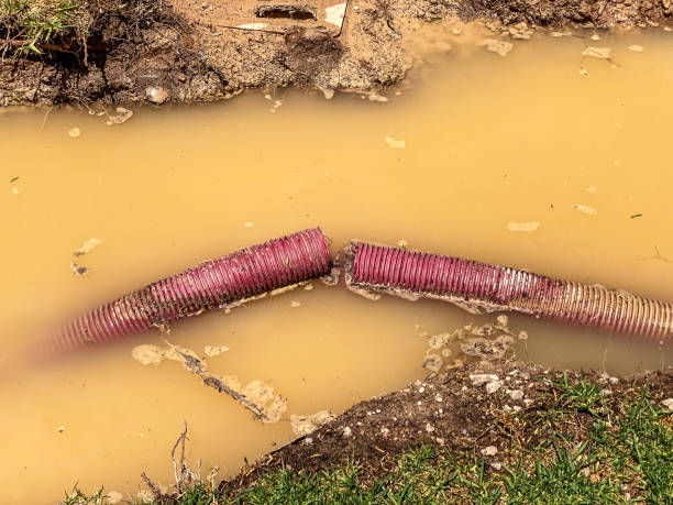 Best Carpet water damage restoration  in Dawsonville, GA