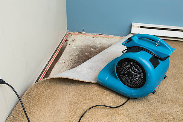 Best Water damage restoration near me  in Dawsonville, GA